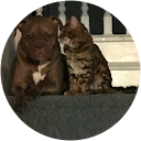 fran dwyer profile picture